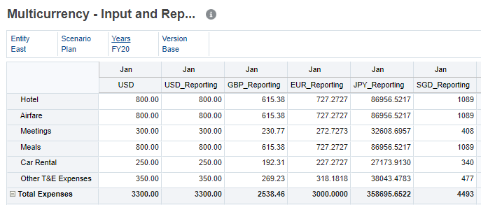Data translated to reporting currencies on the form